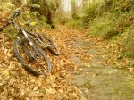 DSC00407.JPG
