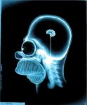 homer_cerebro.jpg