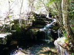 DSCF0713.JPG