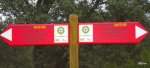DSCN0591.jpg