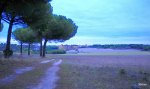 DSCN0594.jpg