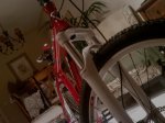 IMAG0167.jpg