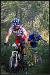 IMG_6426 copia.jpg