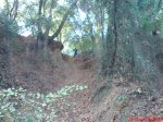 DSC00017.jpg