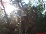 DSC00025.jpg