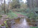 DSC01902.jpg
