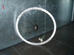 RUEDAS 1 (7).jpg