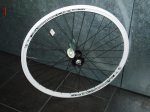 RUEDAS 1 (9).jpg