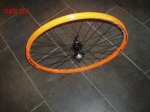NARANJA (1).jpg