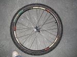 rueda free004.jpg