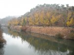 DSCN1149.jpg