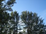 DSC02113.jpg