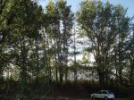 DSC02110.JPG