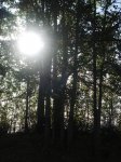 DSC02115.JPG