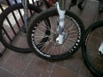 IMG00011-20091127-0748.jpg