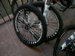 IMG00013-20091127-0749.jpg
