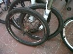 IMG00014-20091127-0753.jpg
