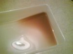 DSC00201.jpg