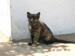 20070506 006.jpg