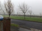 28112009379 11:28:2009.jpg