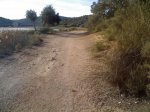 28-11-09_1046.jpg