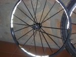 DSCN1268.jpg