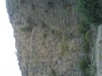 DSC00382.jpg