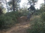 fonty 004.jpg