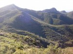 salida 28-11-09 028 [Desktop Resolution].jpg