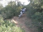 fonty 018.jpg