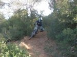 fonty 019.jpg