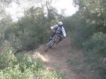 fonty 020.jpg