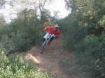 fonty 021.jpg