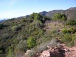 salida 28-11-09 059 [Desktop Resolution].jpg