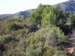salida 28-11-09 063 [Desktop Resolution].jpg