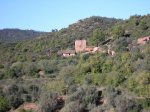 salida 28-11-09 065 [Desktop Resolution].jpg