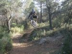 fonty 029.jpg
