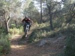 fonty 030.jpg