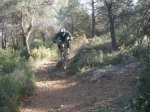 fonty 026.jpg