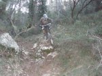 fonty 039.jpg