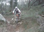 fonty 040.jpg