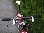 DSC04955.jpg