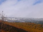 005.JPG