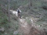 fonty 047.jpg