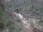fonty 048.jpg