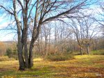 DSCN0640.jpg