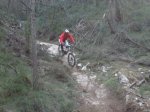 fonty 050.jpg