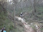 fonty 052.jpg