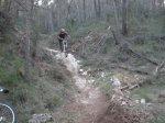 fonty 053.jpg