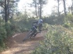 fonty 015.jpg